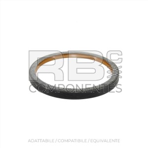 GUARNIZIONE POSTERIORE COMPATIBILE DTZ BF4M