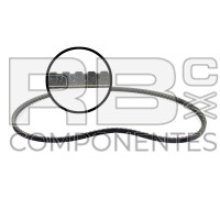 CINGHIA ALTERNATORE COMPATIBILE DTZ BF4M